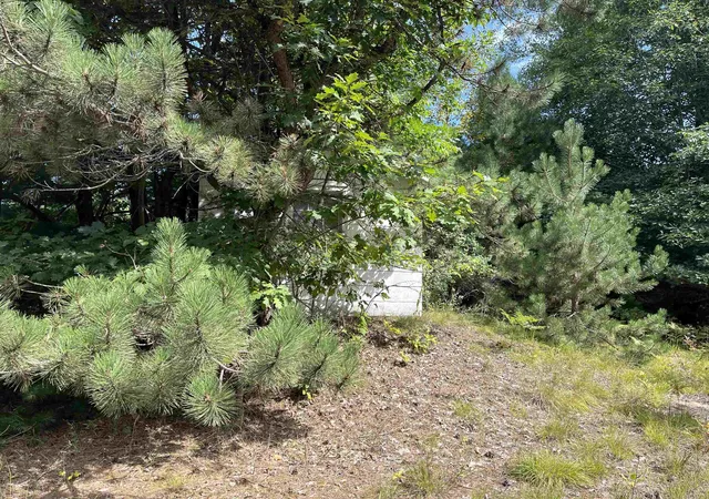 Photo 3 of Land for sale at 0 Cedar Lake Rd, Greenbush Township Alcona, MI 48738 | MLS# 77080072853 | Listing updated on 2026-08-29