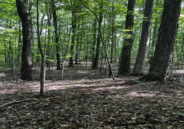 Photo 3 of Land for sale at 7745 Kingsley Rd, Paradise Township Grand Traverse, MI 49649 | MLS# 78080072860 | Listing updated on 2026-09-17