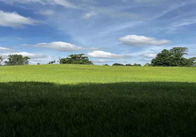 Photo 4 of Land for sale at 7745 Kingsley Rd, Paradise Township Grand Traverse, MI 49649 | MLS# 78080072860 | Listing updated on 2026-09-17