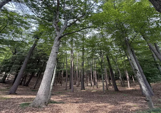 Land for sale at 4731 Albert Courtade Rd, EastBayTownship_GrandTraverse, MI 49696 | MLS# 78080072872