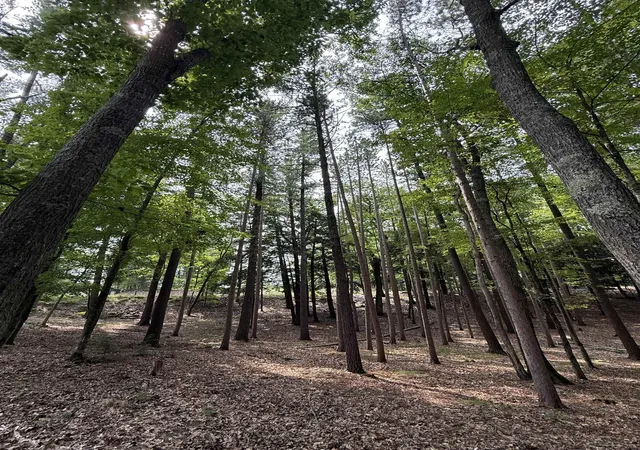 Photo 1 of Land for sale at 4731 Albert Courtade Rd, East Bay Township Grand Traverse, MI 49696 | MLS# 78080072872 | Listing updated on 2026-09-01
