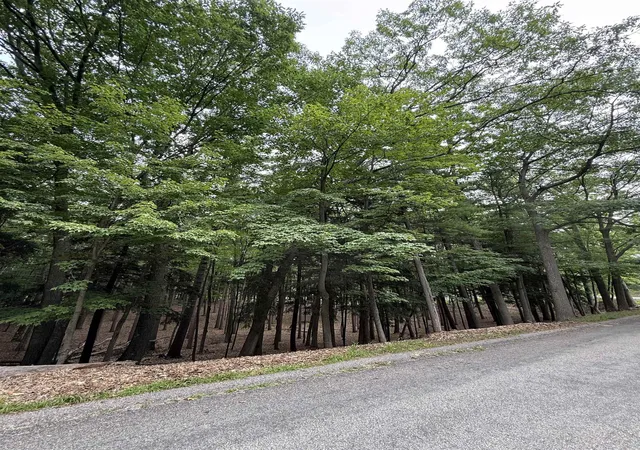 Photo 4 of Land for sale at 4731 Albert Courtade Rd, East Bay Township Grand Traverse, MI 49696 | MLS# 78080072872 | Listing updated on 2026-09-01