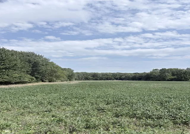 Photo 1 of Sale Pending at 000 Palms Rd, Columbus Township St Clair, MI 48063 | MLS# 58050219907 | Listing updated on 2026-09-02