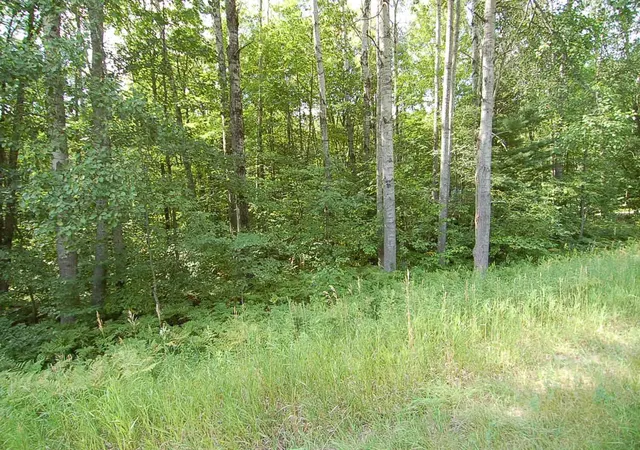 Photo 3 of Land for sale at 6800 S M 37, South Branch Township Wexford, MI 49638 | MLS# 78080072882 | Listing updated on 2026-09-04