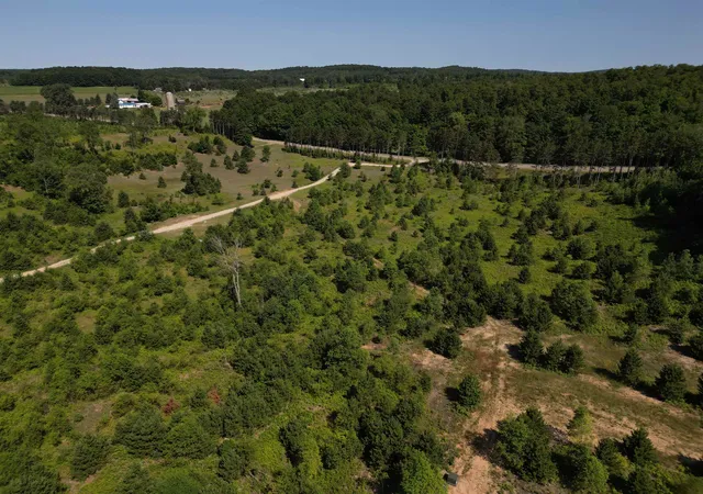 Photo 4 of Land for sale at A5 E Kasson Rd, Kasson Township Leelanau, MI 49664 | MLS# 78080072887 | Listing updated on 2026-08-29