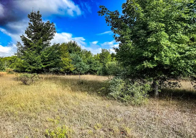 Photo 3 of Land for sale at Parcel 2 E Darga Rd, Kasson Township Leelanau, MI 49621 | MLS# 78080072925 | Listing updated on 2026-08-30