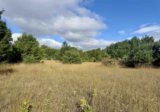 Photo 4 of Land for sale at Parcel 2 E Darga Rd, Kasson Township Leelanau, MI 49621 | MLS# 78080072925 | Listing updated on 2026-08-30