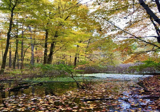 Photo 1 of Land for sale at 5555 Mast Rd, Webster Township Washtenaw, MI 48130 | MLS# 20261068934 | Listing updated on 2026-09-22