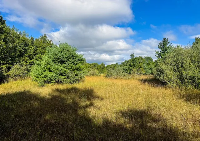 Photo 3 of Land for sale at Parcel 3 E Darga Rd, Kasson Township Leelanau, MI 49621 | MLS# 78080072930 | Listing updated on 2026-08-30
