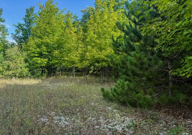 Photo 4 of Land for sale at Parcel 3 E Darga Rd, Kasson Township Leelanau, MI 49621 | MLS# 78080072930 | Listing updated on 2026-08-30
