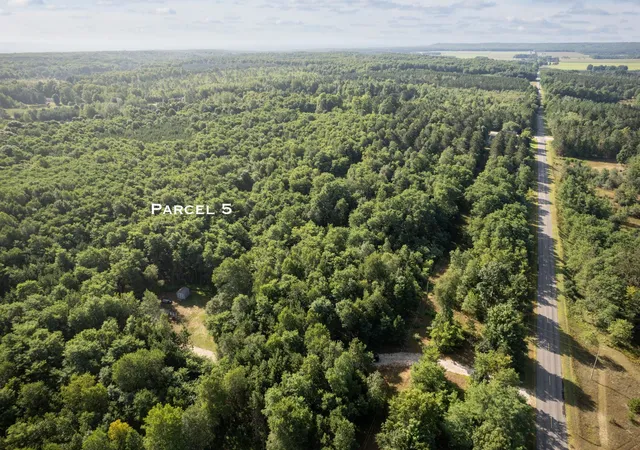 Land for sale at 11241 Marilla Rd, MarillaTownship_Manistee, MI 49625 | MLS# 78080072931