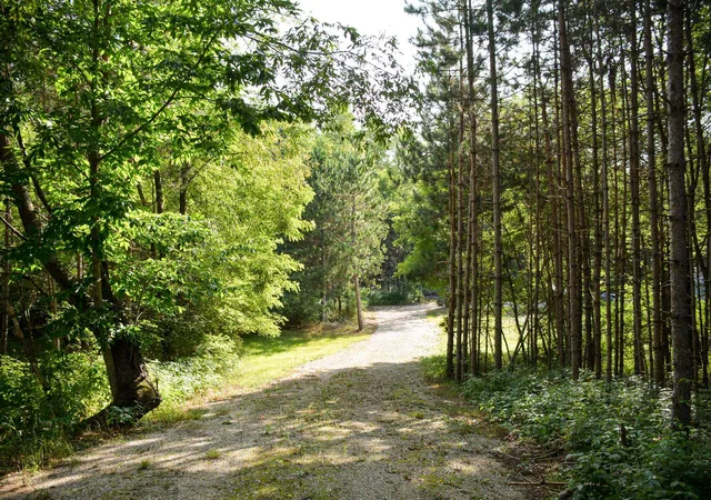 Photo 3 of Land for sale at 11241 Marilla Rd, Marilla Township Manistee, MI 49625 | MLS# 78080072931 | Listing updated on 2026-08-30