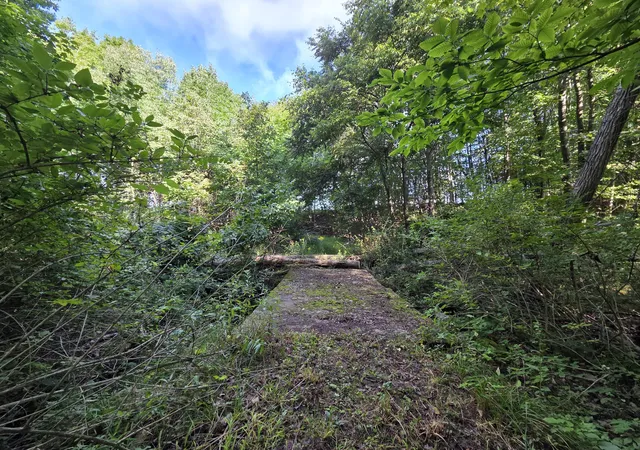 Photo 64 of Single family home for sale at 7565 S 56th Ave, Claybanks Township Oceana, MI 49437 | MLS# 71026045590 | Listing updated on 2026-09-03