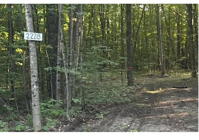 Photo 3 of Land for sale at 2228 Northwoods Dr, Weldon Township Benzie, MI 49616 | MLS# 77080072950 | Listing updated on 2026-08-31