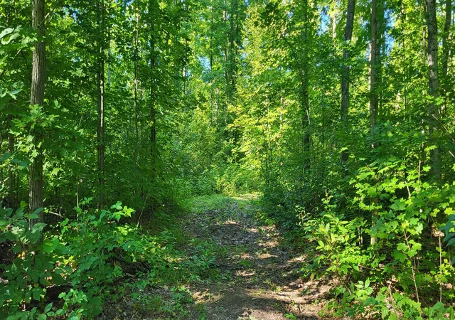 Photo 3 of Land for sale at Tbd Bocook Rd, Mancelona Township Antrim, MI 49659 | MLS# 78080072953 | Listing updated on 2026-08-31