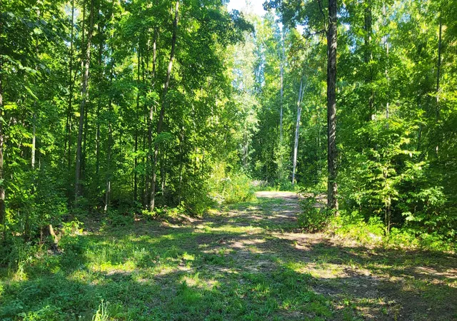 Photo 4 of Land for sale at Tbd Bocook Rd, Mancelona Township Antrim, MI 49659 | MLS# 78080072953 | Listing updated on 2026-08-31