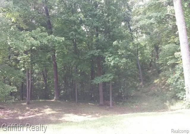 Photo 1 of Sale Pending at Vl Schafer Rd, Hamburg Township Livingston, MI 48843 | MLS# 20261069136 | Listing updated on 2026-09-01