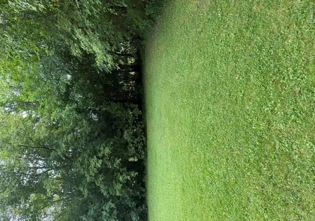 Photo 3 of Land for sale at 0000 Christner St, Burton City Genesee, MI 48519 | MLS# 20261069291 | Listing updated on 2026-08-29