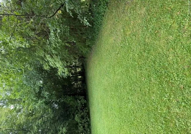 Photo 4 of Land for sale at 0000 Christner St, Burton City Genesee, MI 48519 | MLS# 20261069291 | Listing updated on 2026-08-29