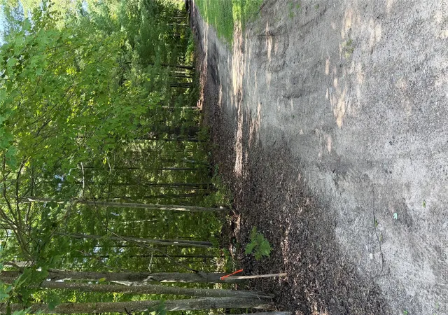 Photo 2 of Land for sale at 0000 Acorn Lane, Mills Township Ogemaw, MI 48756 | MLS# 20261069362 | Listing updated on 2026-08-29