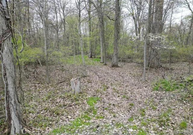 Photo 4 of Land for sale at 197 N Cotter Rd, Hampton Charter Township Bay, MI 48732 | MLS# 20261069508 | Listing updated on 2026-08-30