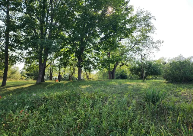 Photo 2 of Single family home for sale at 9796 Lake Of The Woods Rd Rd, Custer Township Antrim, MI 49659 | MLS# 58050220253 | Listing updated on 2026-09-17