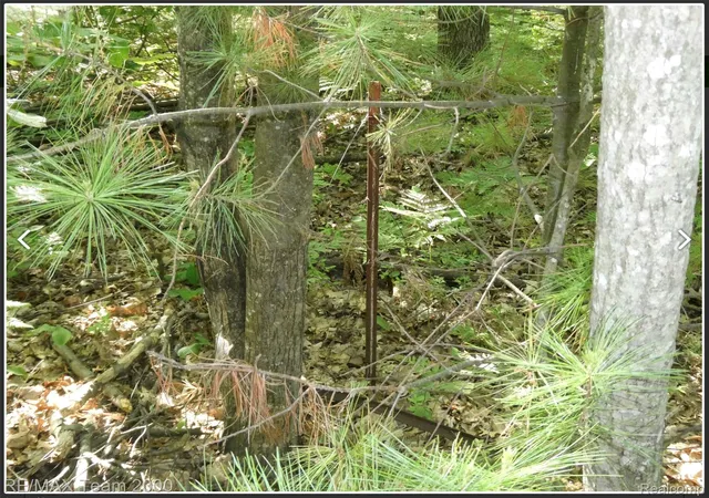 Land for sale at Bunny Run Vacant Houghton Bunny Run, DentonTownship_Roscommon, MI 48629 | MLS# 20261069558