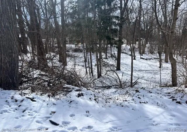 Land for sale at 439 Alberta St Lot 81, Auburn Hills, MI 48326 | MLS# 20261069692