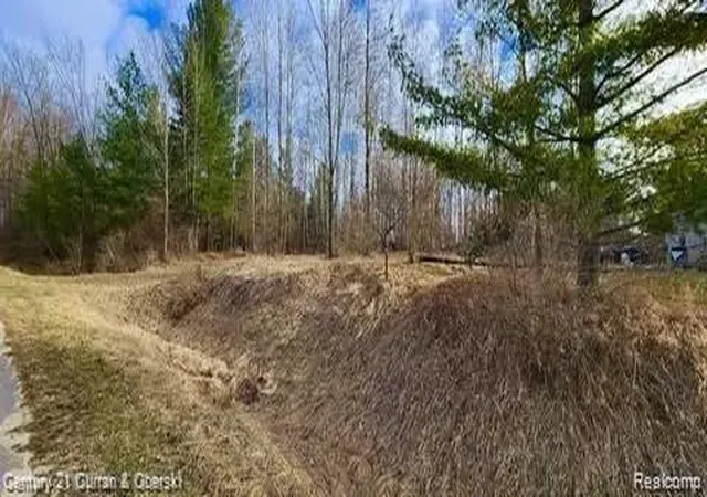 Land for sale at 187 Greensboro Way, Gladwin, MI 48624 | MLS# 20261069984