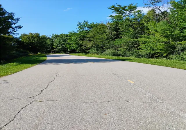 Photo 2 of Land for sale at 187 Greensboro Way, Gladwin, MI 48624 | MLS# 20261069984 | Listing updated on 2026-08-31