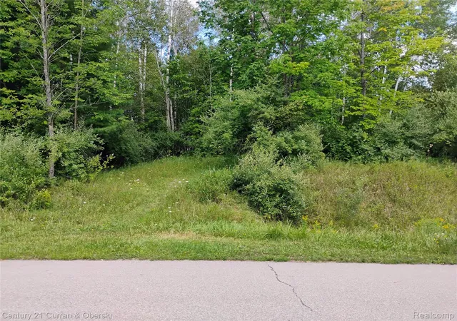 Photo 3 of Land for sale at 187 Greensboro Way, Gladwin, MI 48624 | MLS# 20261069984 | Listing updated on 2026-08-31