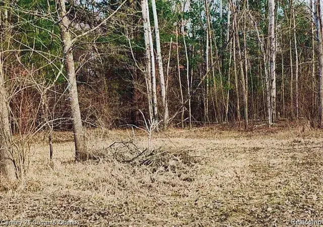 Photo 3 of Land for sale at 187 Greensboro Way, Gladwin, MI 48624 | MLS# 20261069984 | Listing updated on 2026-08-31