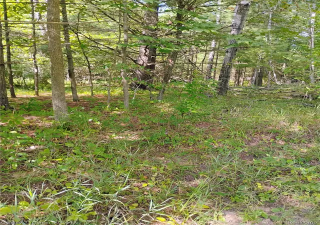Photo 4 of Land for sale at 187 Greensboro Way, Gladwin, MI 48624 | MLS# 20261069984 | Listing updated on 2026-08-31