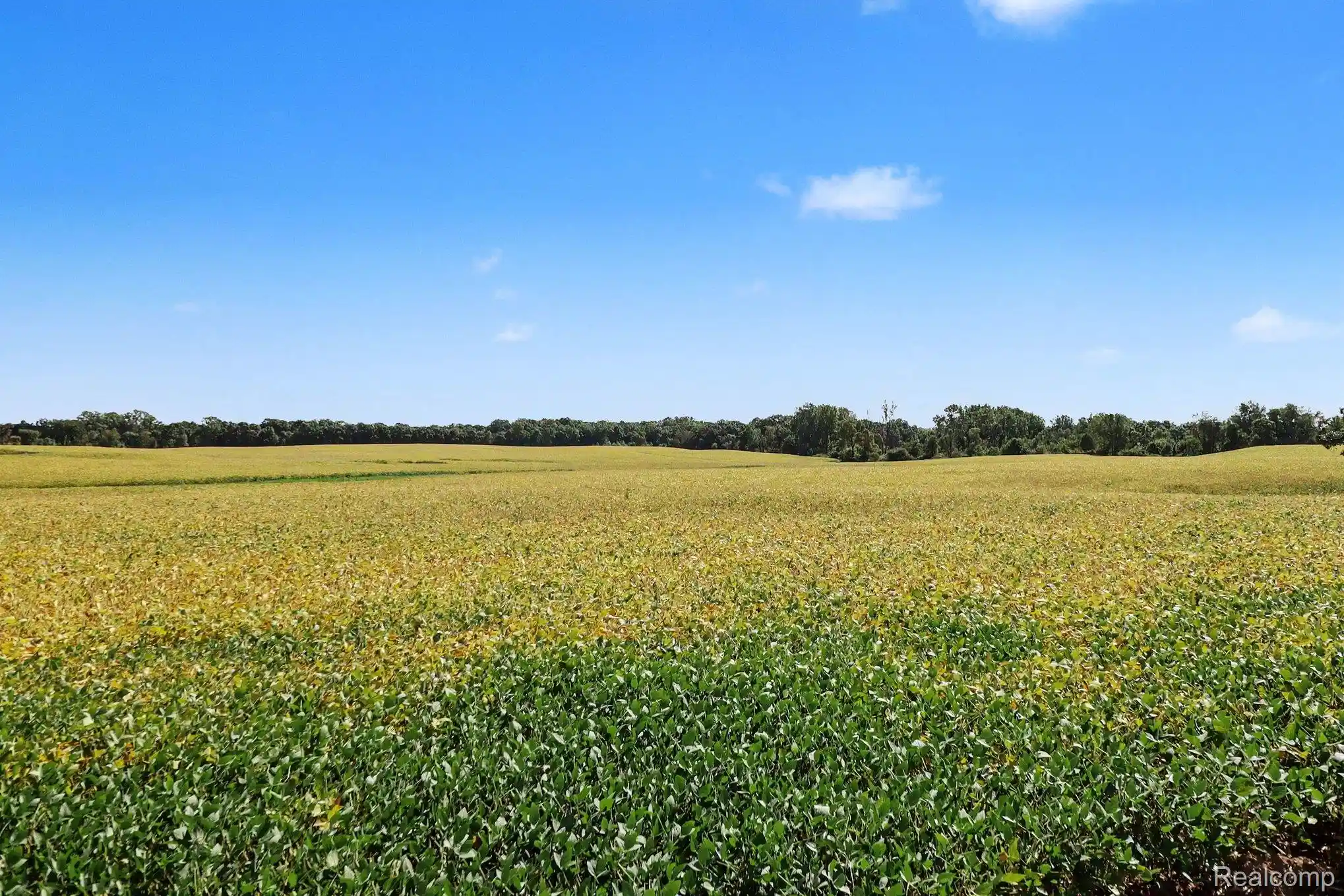 Land for sale at Parcel N A Hacker Rd, HartlandTownship_Livingston, MI 48843 | MLS# 20261074434