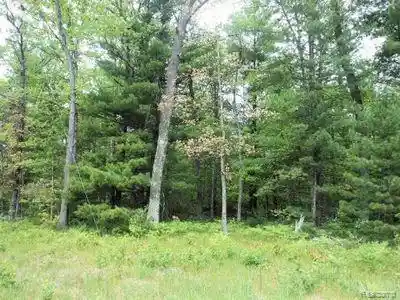Land for sale at 000 Hall, Mount Pleasant, MI 49642 | MLS# 20261074557