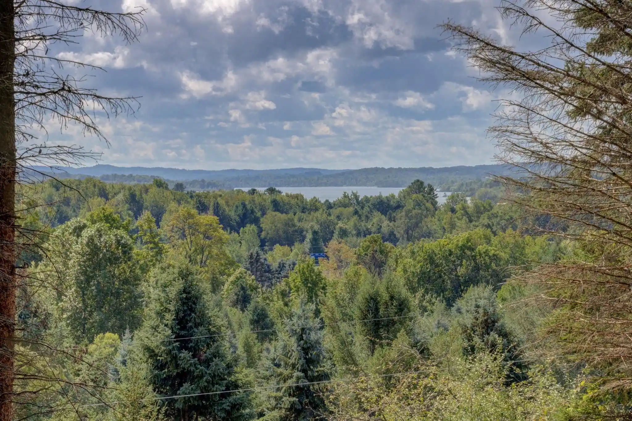 Photo 1 of Land for sale at N Eagle Hwy, Lake Leelanau, MI 49653 | MLS# 78080073583 | Listing updated on 2026-09-19