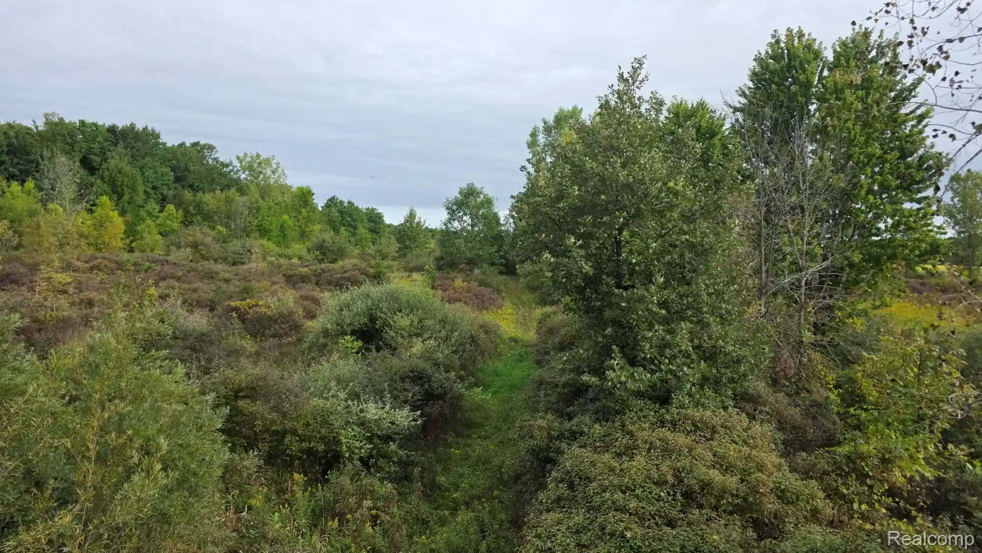 Land for sale at 00 Barnes, North Branch, MI 48461 | MLS# 20261075762