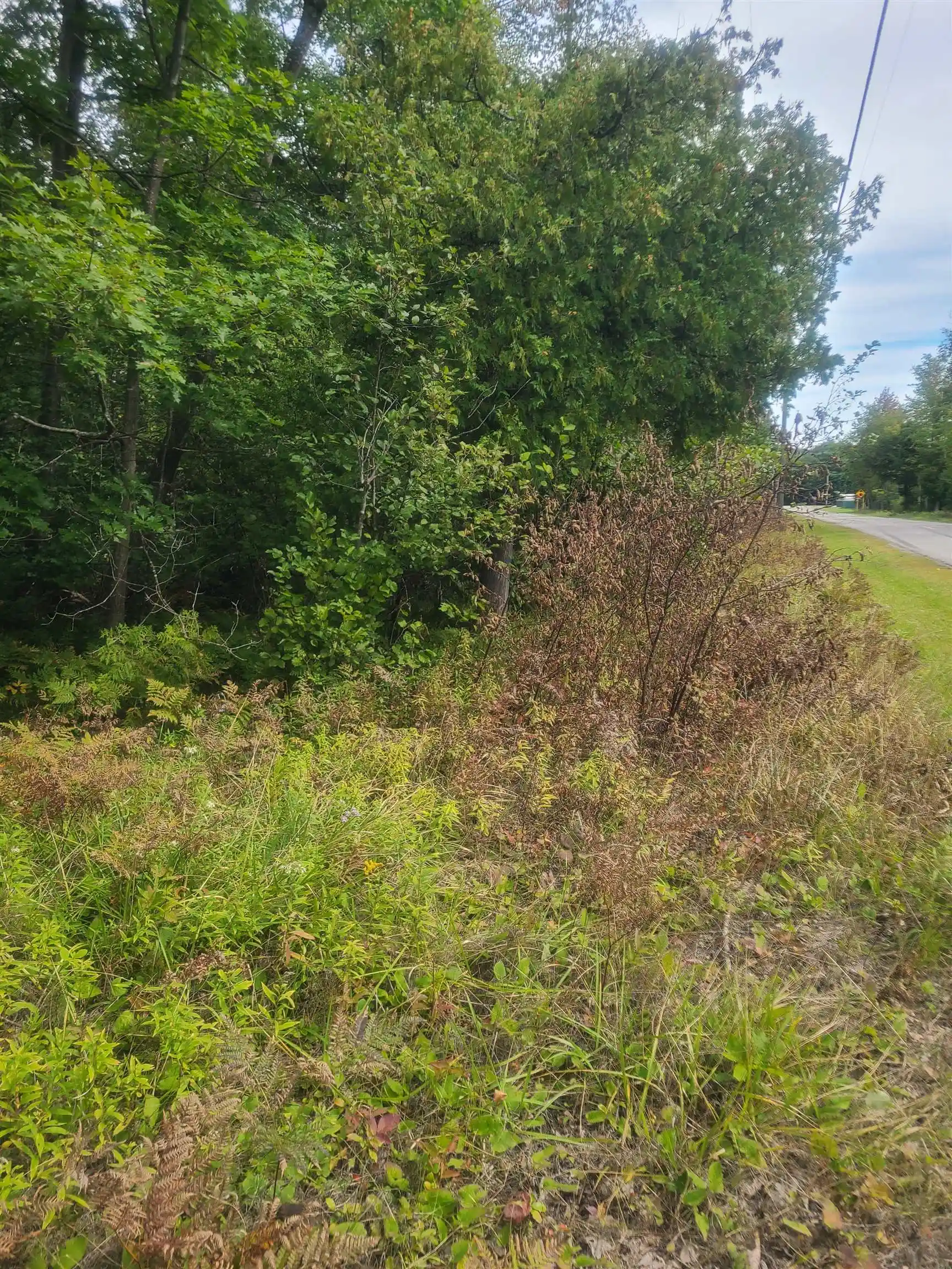 Photo 1 of Land for sale at 00 W Martel Rd, Greenbush, MI 48738 | MLS# 77080073749 | Listing updated on 2026-09-25