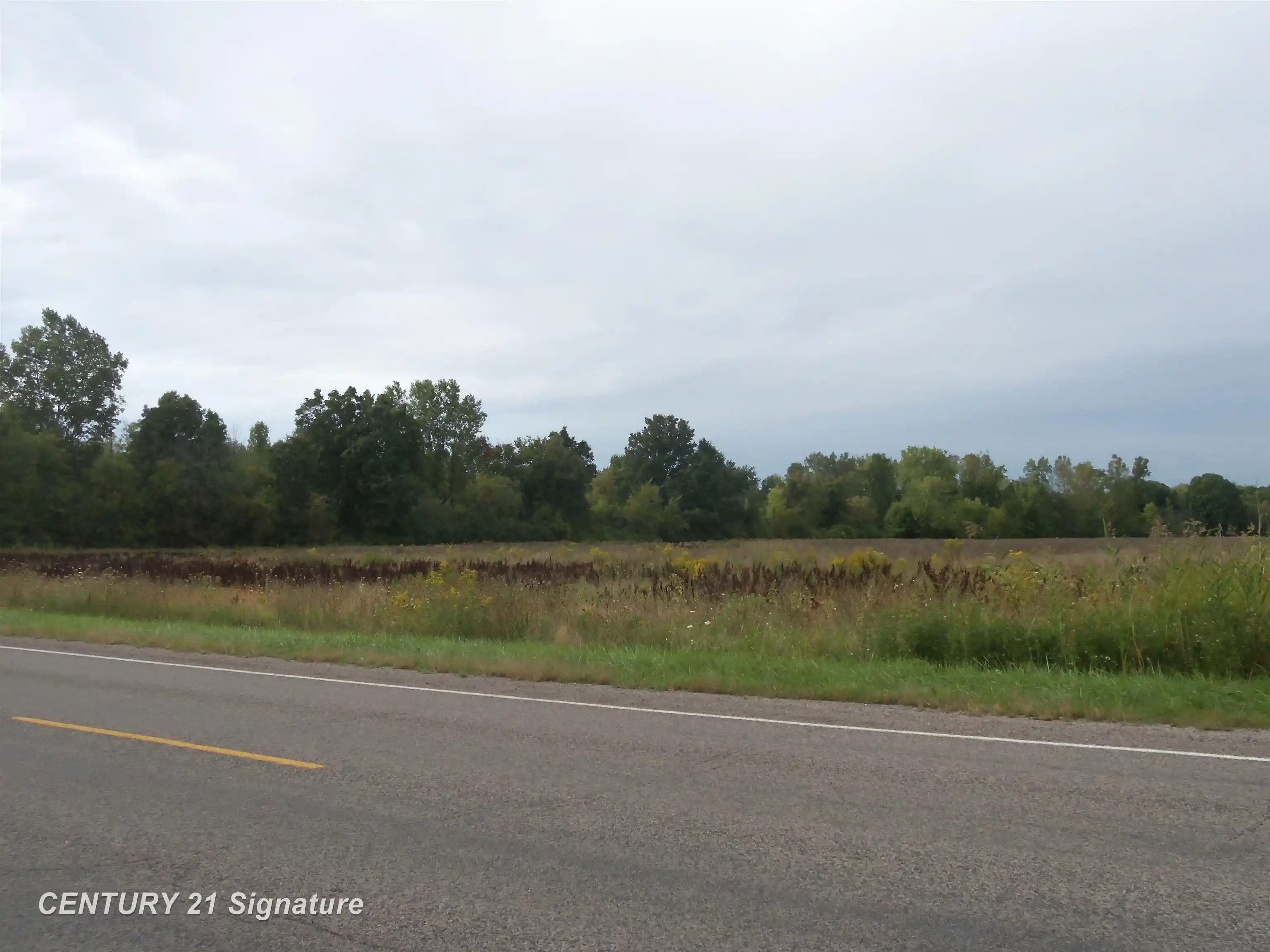 Photo 1 of Land for sale at V/l W Coldwater Rd, Mt Morris Township Genesee, MI 48433 | MLS# 5050222467 | Listing updated on 2026-10-12