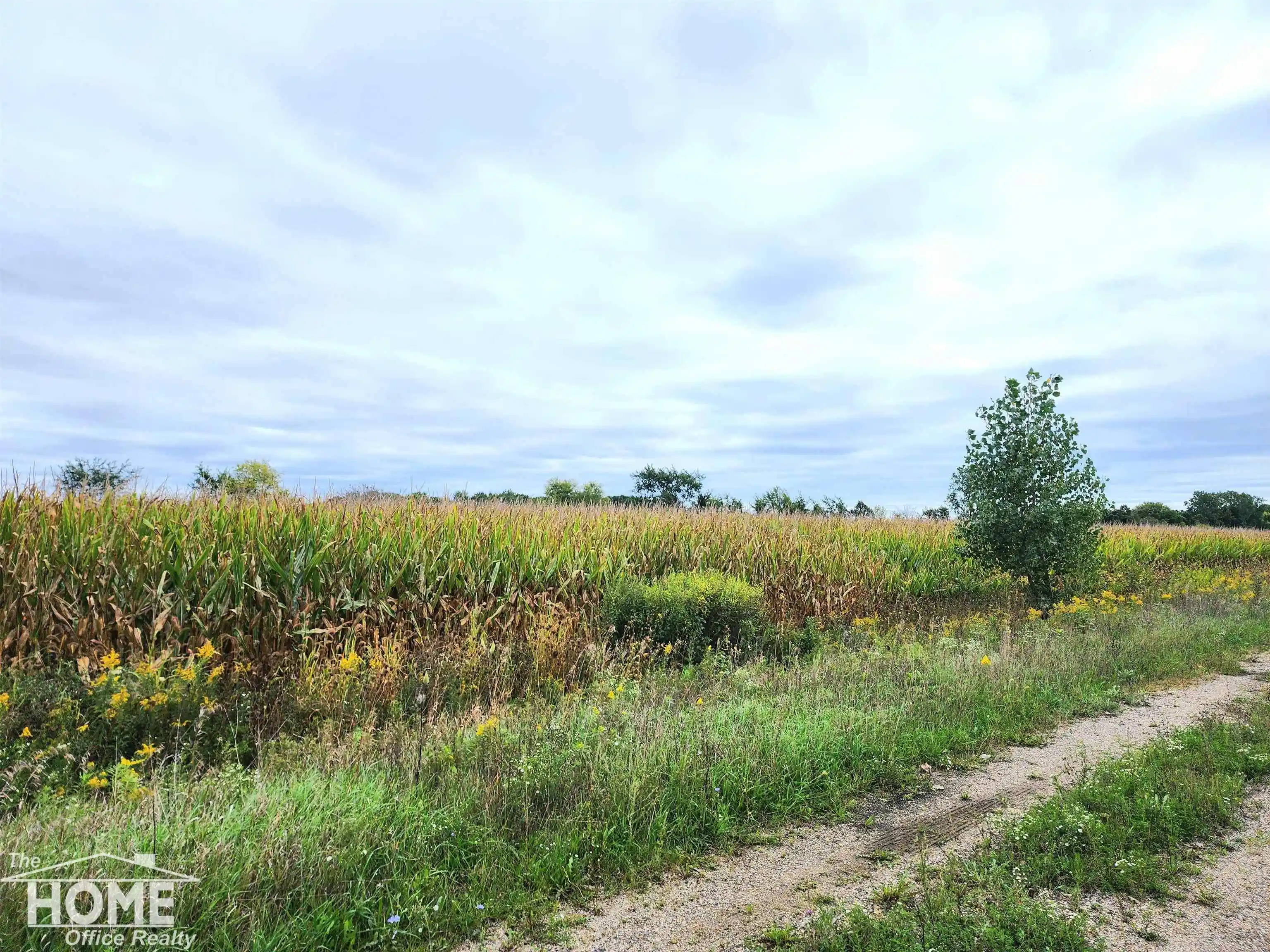 Photo 1 of Land for sale at Vacant E Wilkinson Rd, Caledonia Charter Township Shiawassee, MI 48867 | MLS# 5050222510 | Listing updated on 2026-09-23