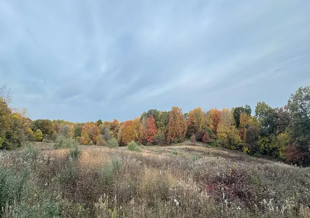 Single family home for sale at 53901 Finch Rd, Marcellus, MI 49067 | MLS# 68026051573