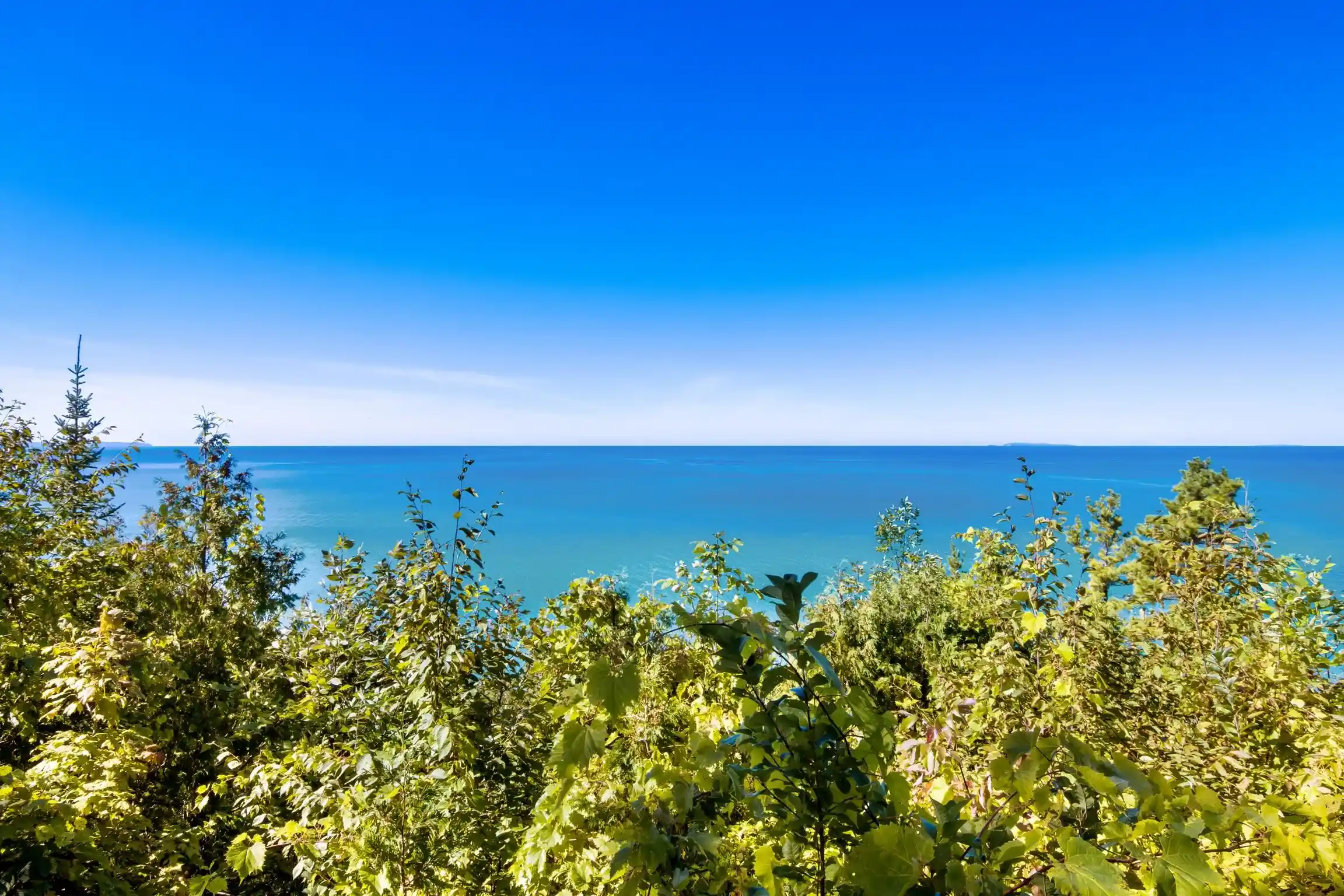 Land for sale at 12281 N Is View Dr, Northport, MI 49670 | MLS# 78080074003