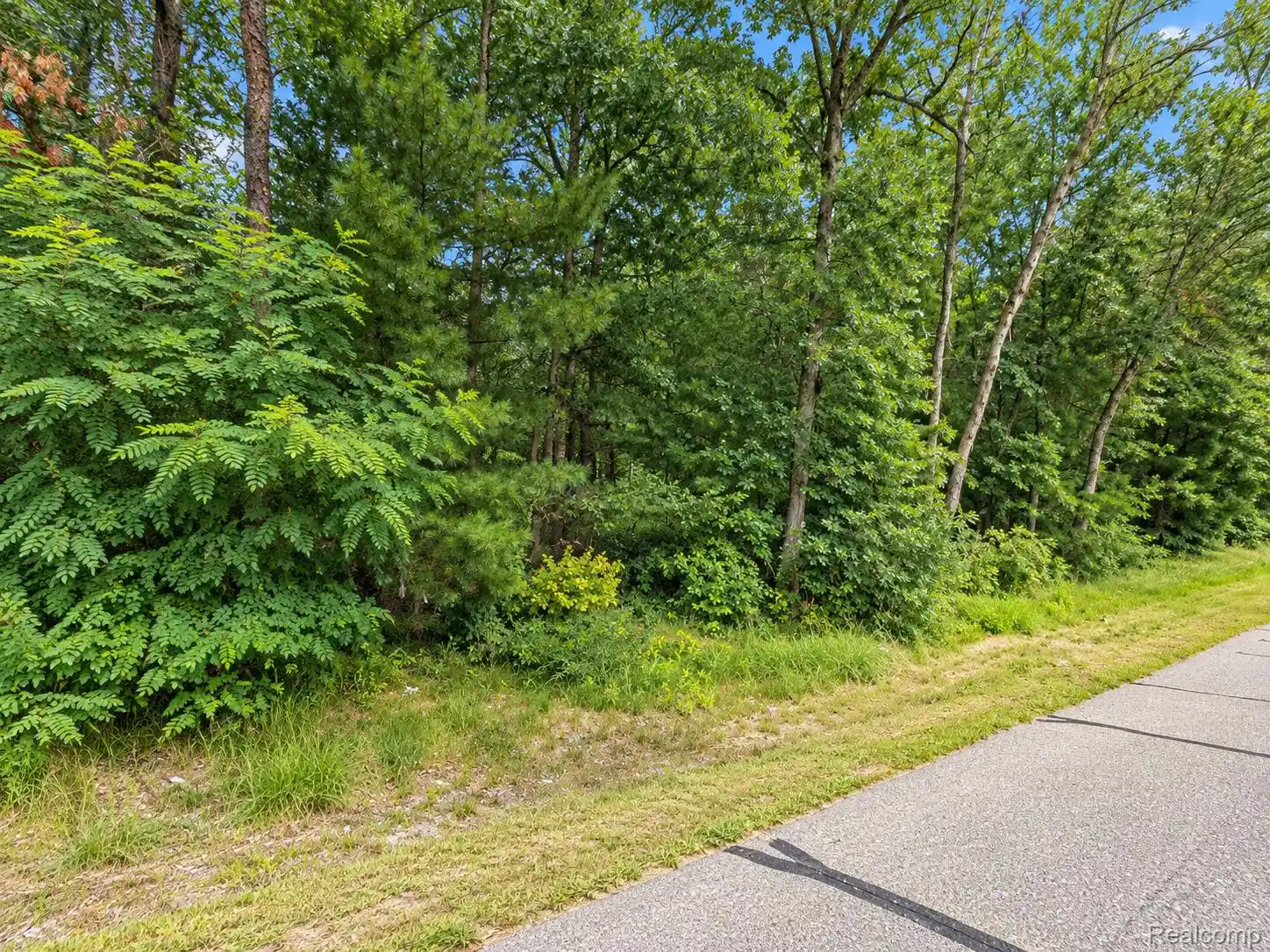Photo 1 of Land for sale at 0 Guthrie St, Baldwin, MI 49304 | MLS# 20261081108 | Listing updated on 2026-10-12