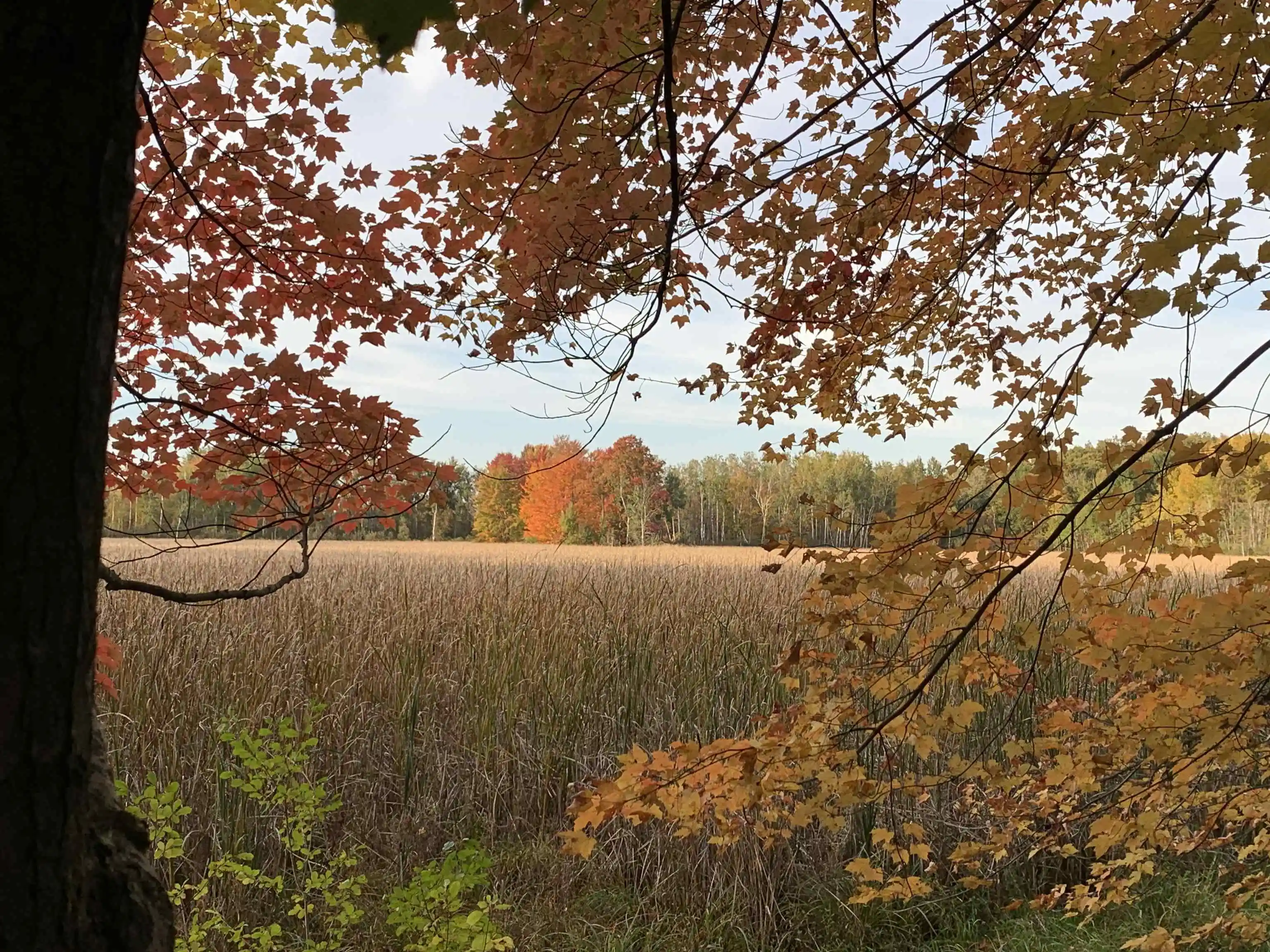 Land for sale at Vl W Hovey Rd, ShermanTownship_Isabella, MI 48623 | MLS# 79080074490