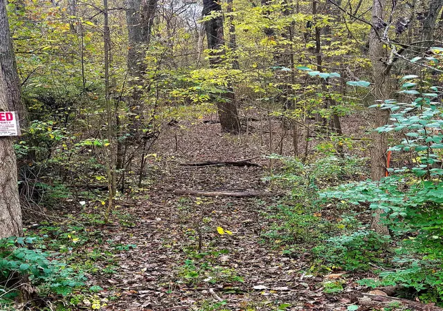 Photo 1 of Land for sale at 4000 Sutton Rd, Britton, MI 49229 | MLS# 56050225033 | Listing updated on 2026-10-27