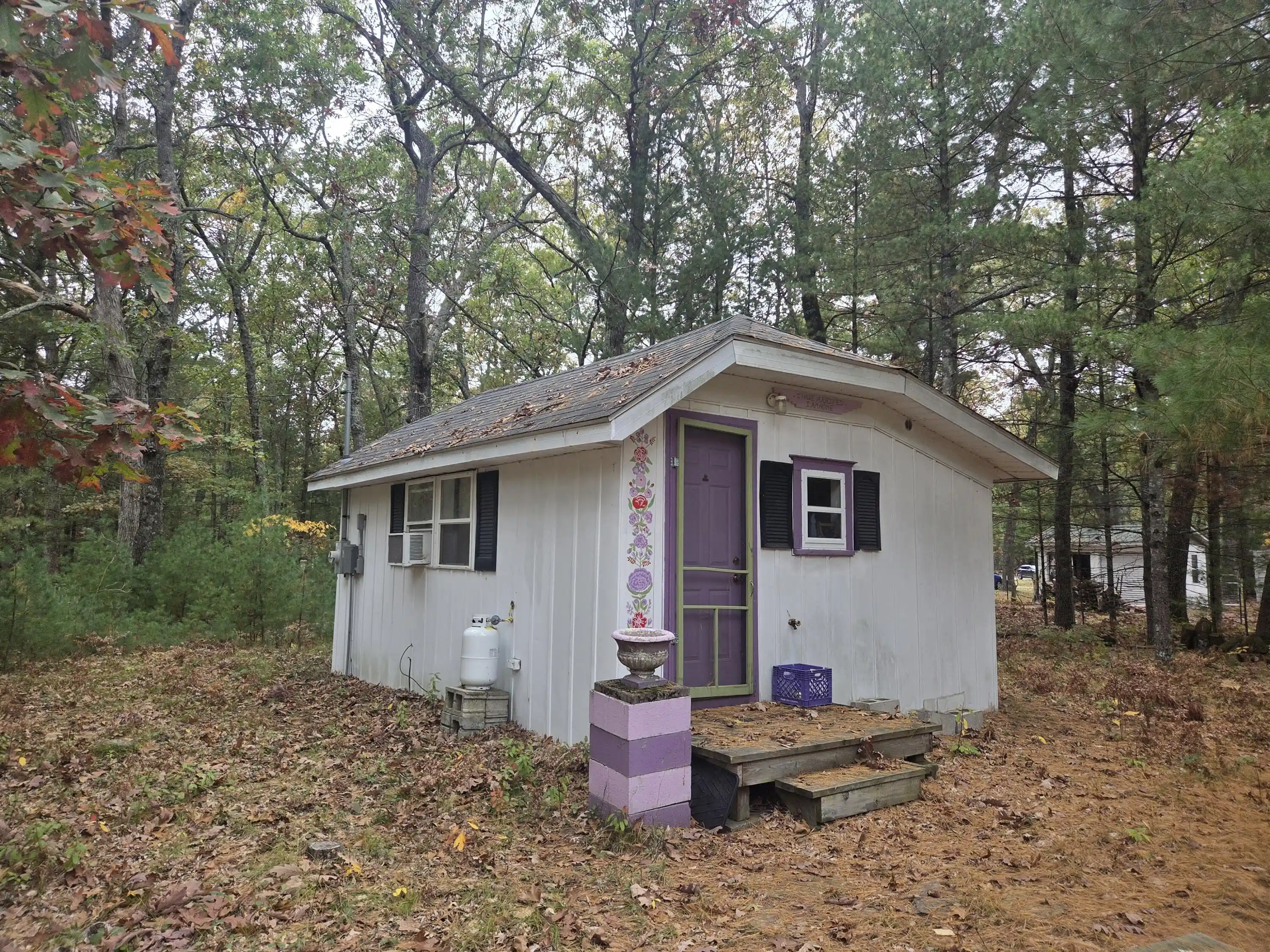 Photo 1 of Single family home for sale at 8214 W Oakwood Ave, Lake Township Lake, MI 49304 | MLS# 72026055230 | Listing updated on 2026-10-16