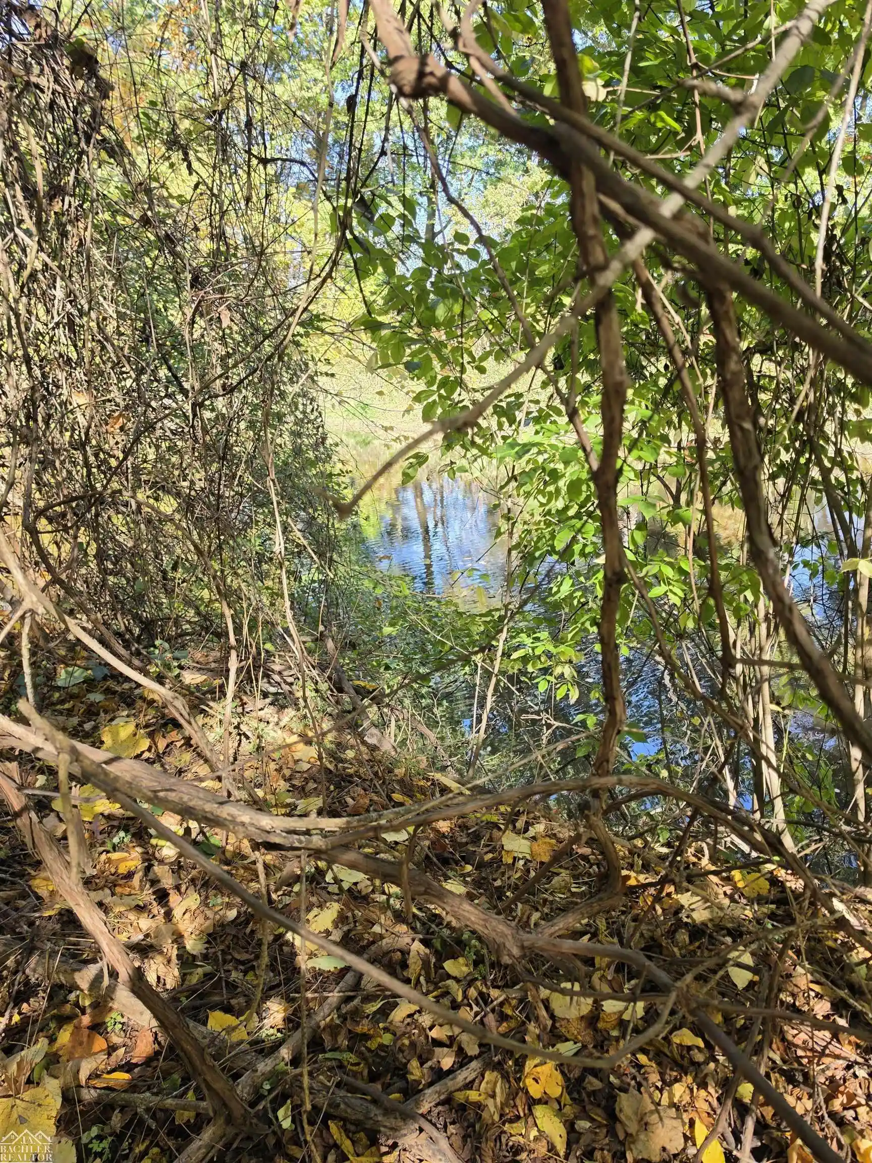Photo 1 of Land for sale at 0 Woodland Ln, East China, MI 48054 | MLS# 58050225326 | Listing updated on 2026-10-22