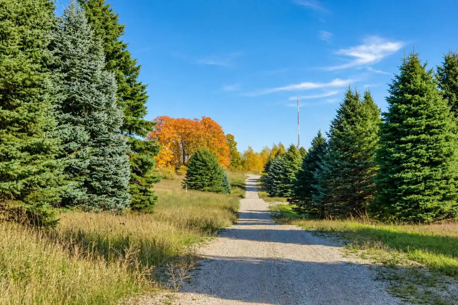 Photo 1 of Land for sale at Parcel C Bugai Rd, Traverse City, MI 49684 | MLS# 78080074662 | Listing updated on 2026-10-22