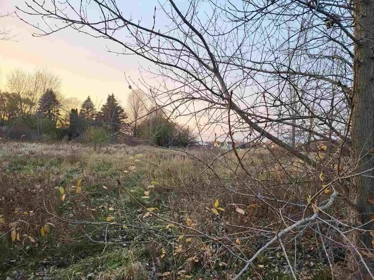 Photo 1 of Land for sale at Tbd Broomfield St, Mount Pleasant, MI 48858 | MLS# 79080074768 | Listing updated on 2026-10-25