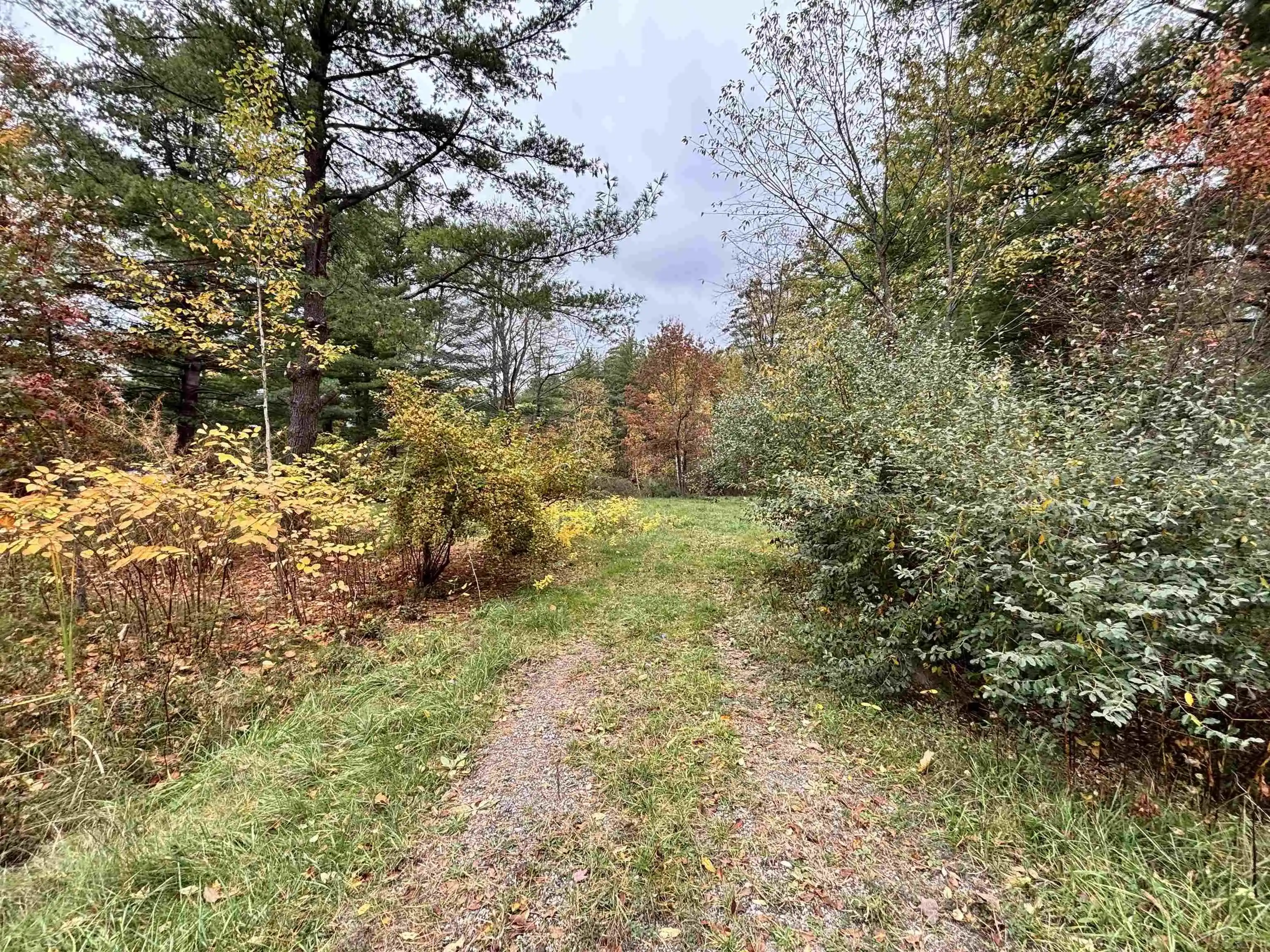 Land for sale at 3719 Pinelands Point Rd, Gladwin, MI 48624 | MLS# 61050225766